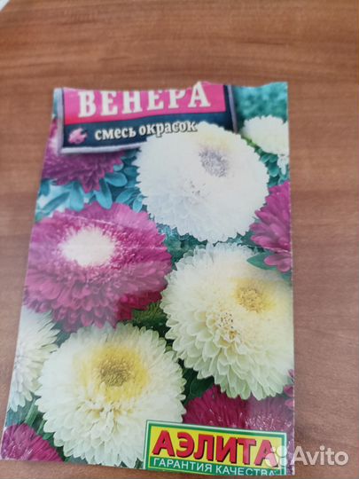 Рассада цветов