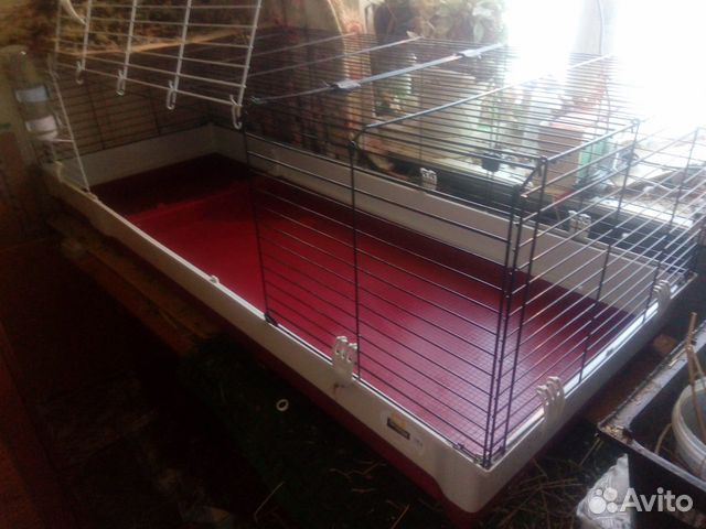 Большая клетка для домашнего кролика