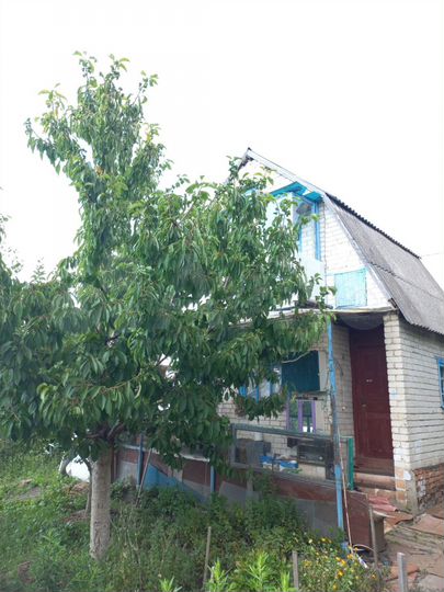 Дача 40 м² на участке 10 сот.