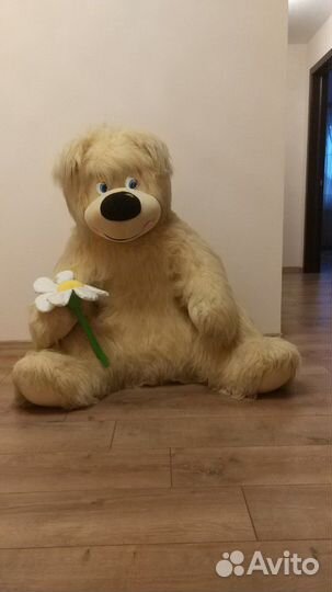 Плюшевый медведь