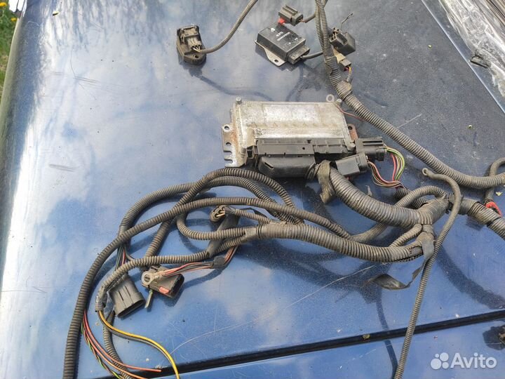 Эбу Микас11 Крайслер Волга