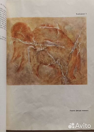 Бадер О.Н. Капова пещера. 1965 г