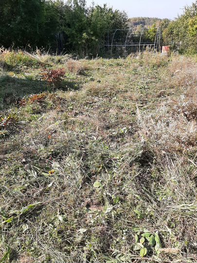 Дача 18 м² на участке 10 сот.