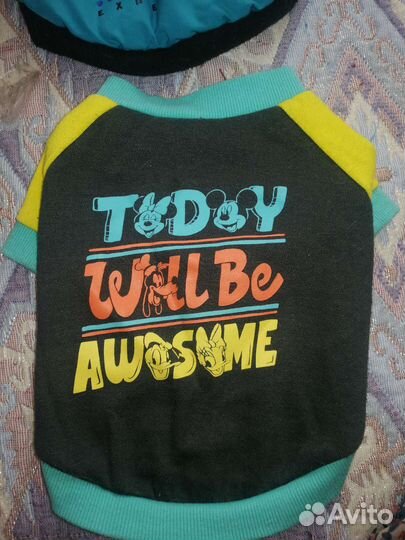 Одежда для собак