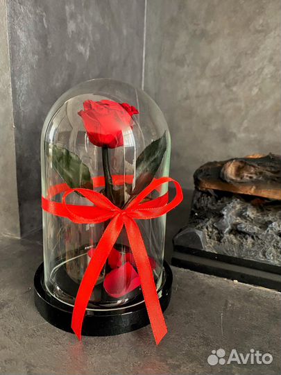 Роза в колбе