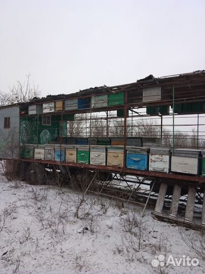 Пчелоприцеп