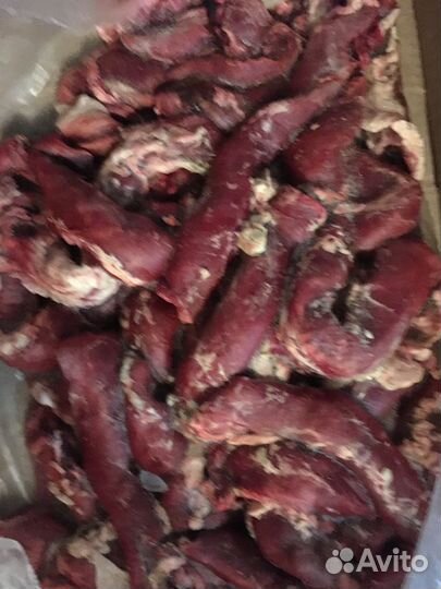 Мясные субпродукты для животных и людей Опт