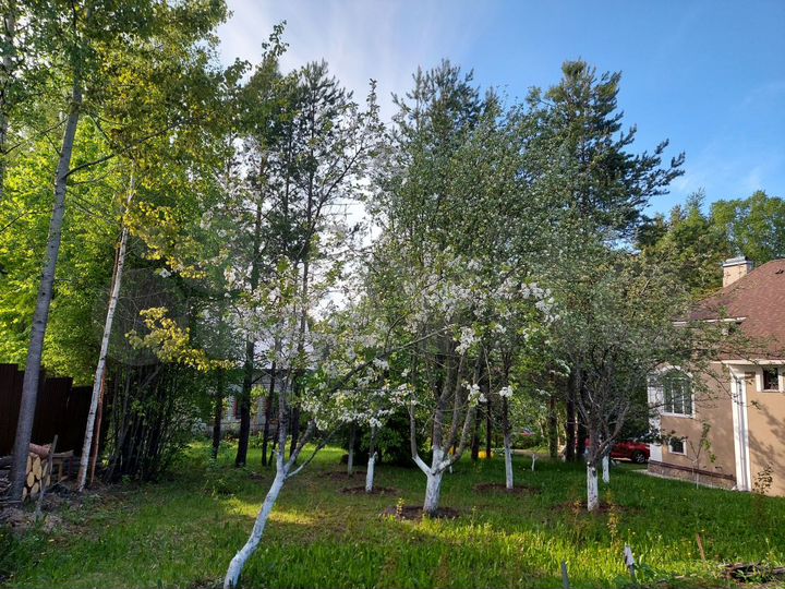 Дом 306,3 м² на участке 19,7 сот.