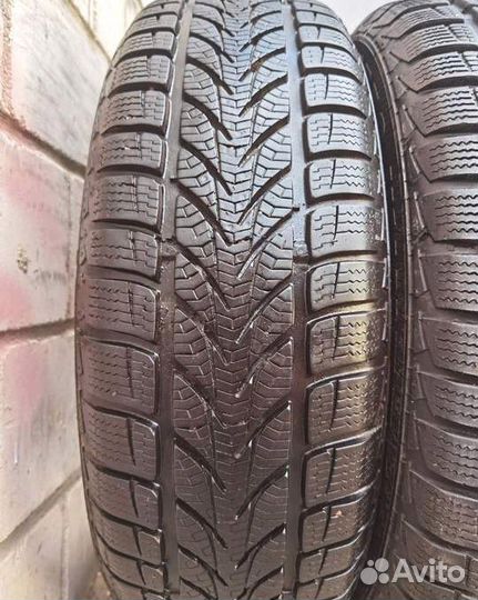 Platin RP 50 Winter 185/65 R15 88T