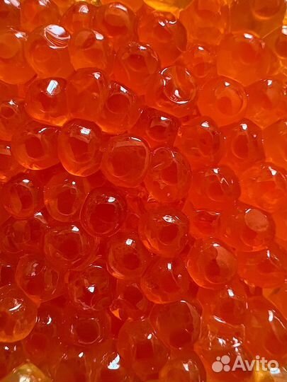 Икра кеты Камчатка 2024г