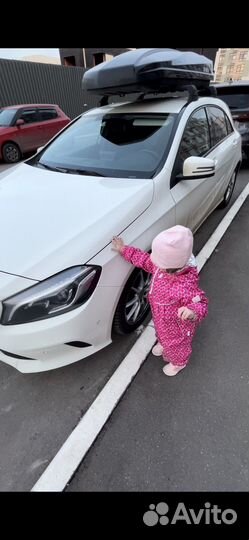 Автомобильный бокс Taurus Strike B