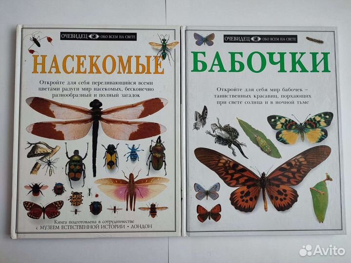 Энциклопедии детские Очевидец - обо всем на свете