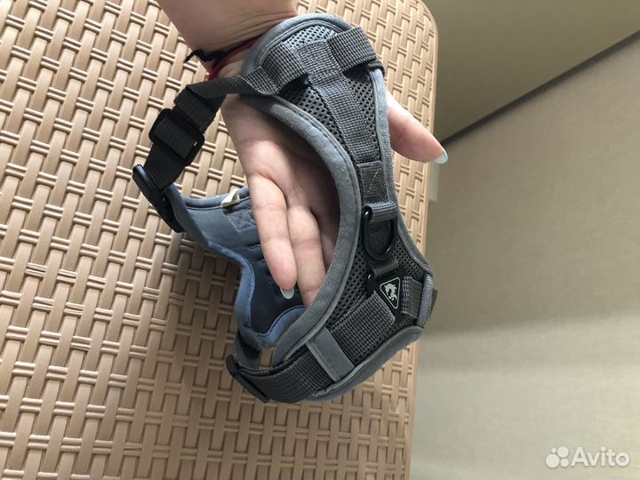 Шлейка для собаки