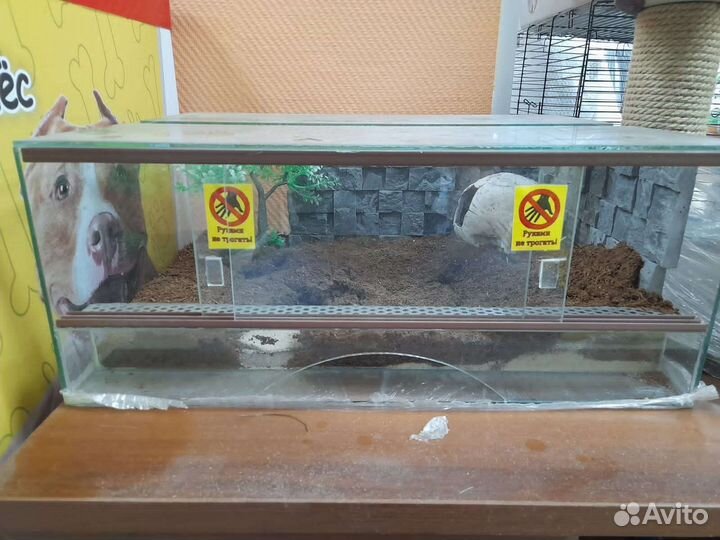 Террариум для рептилий