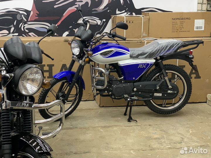 Альфа RX 110 2024г