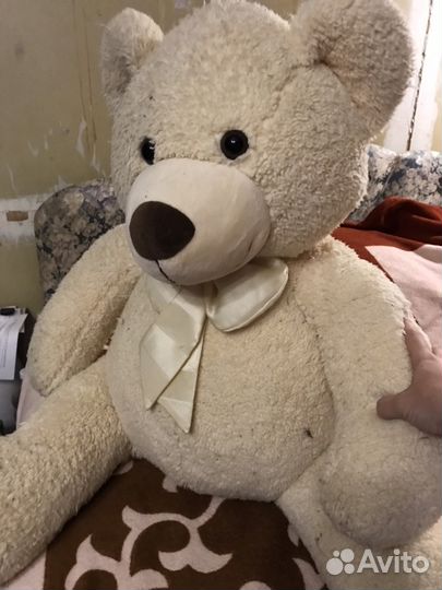 Крокодил медведь другие