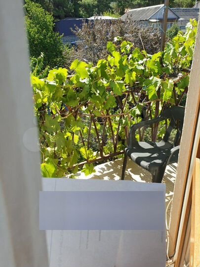 Комната 25 м² в 4-к., 3/3 эт.