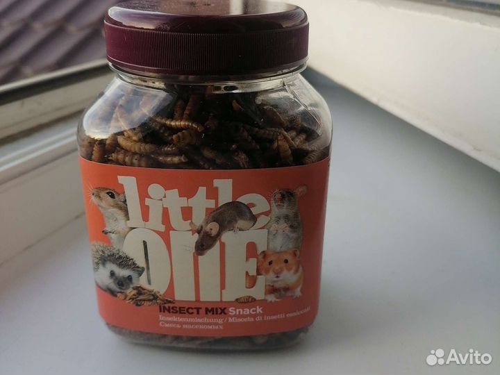 Смесь насекомых