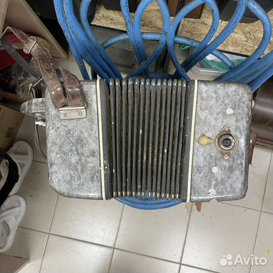 Гармонь Беларусь (Сзр)