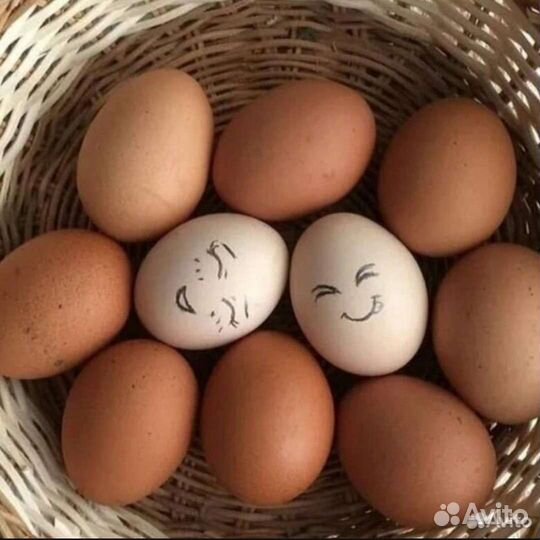Домашние куриные яйца