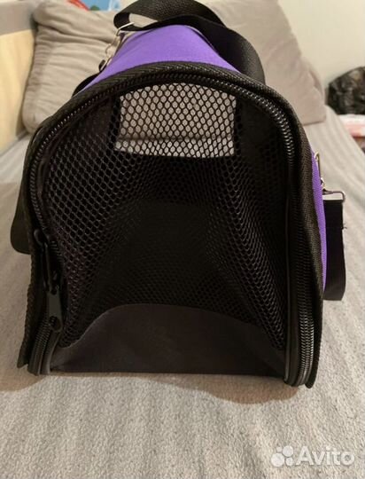 Переноска для кошек Аренда