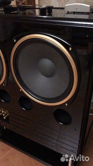 Tannoy 215 2024 dmt ii