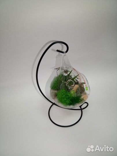 Флорариум сфера