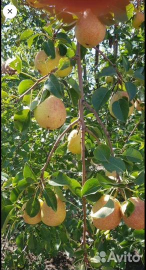 Охотугодье, охотхозяйство, охотничье хозяйство