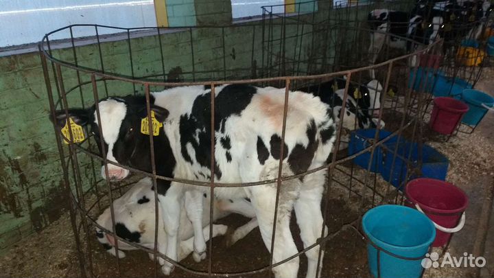 Продаем мрс