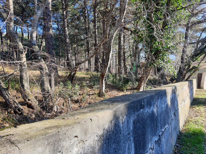 Участок 1,31 га (ИЖС)