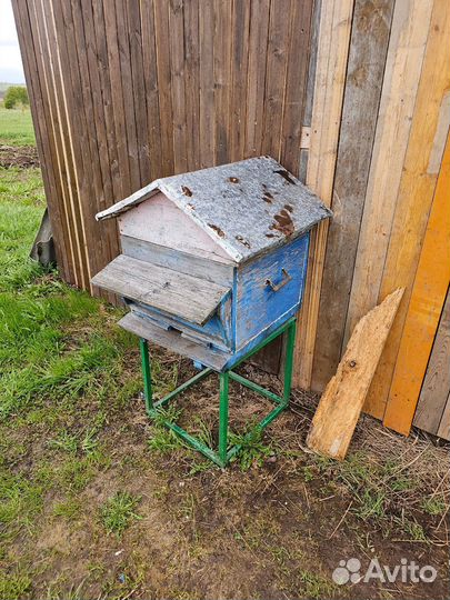 Улей с пчелами