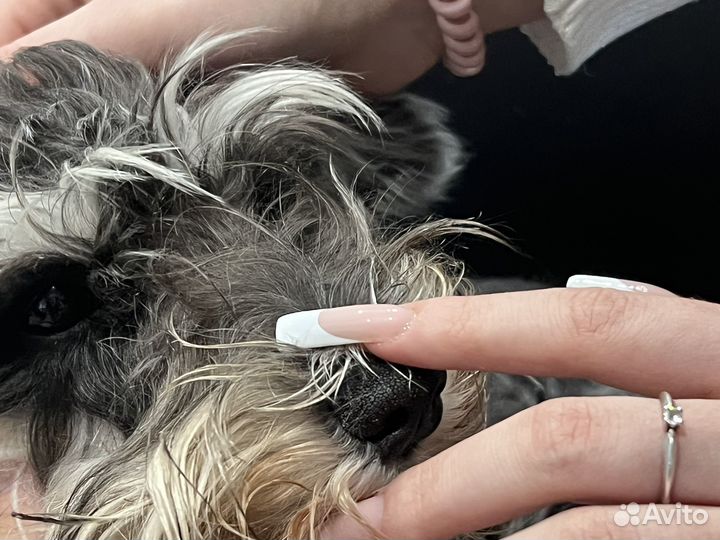 Наращивание ногтей