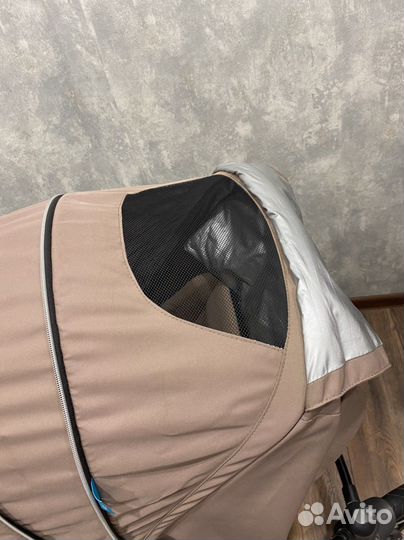 Коляска 2 в 1 Baby design husky