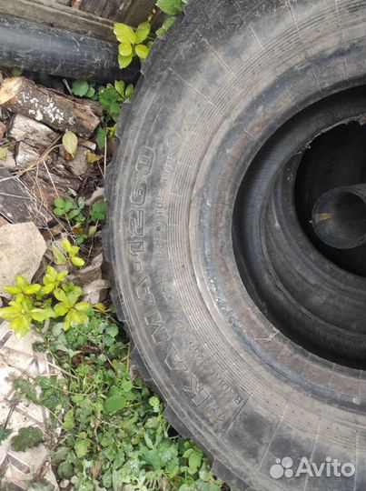 Accelera Epsilon 185/60 R13