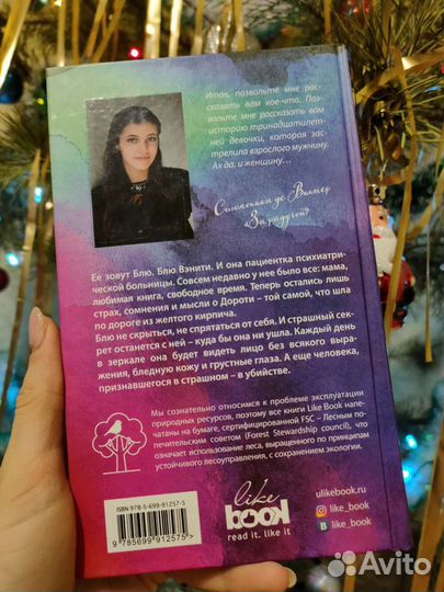 Книга Соломоника Де Винтер