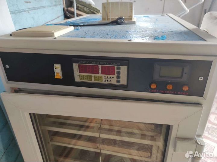 Автоматический инкубатор
