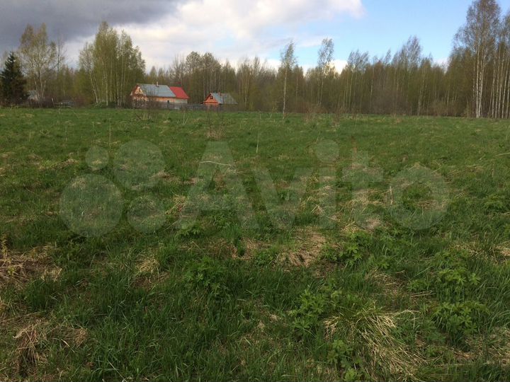 Участок 20 сот. (ИЖС)