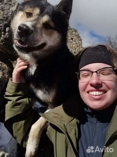 Зоопсихолог, кинолог, специалист по поведению