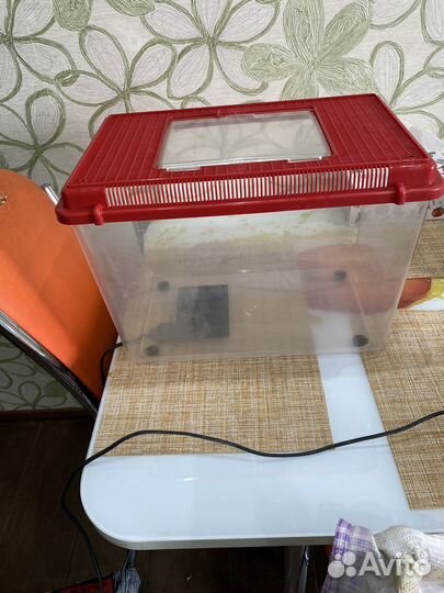 Террариум для рептилий с подогревом