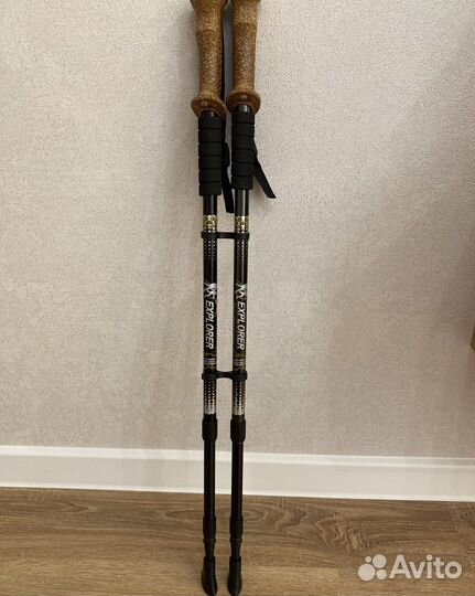 Палки для скандинавской ходьбы (телескопические)