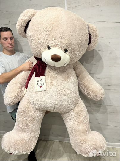 Мишка барри