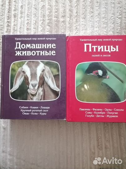 Серия книг 