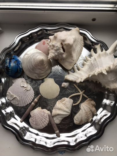 Ракушка для аквариума