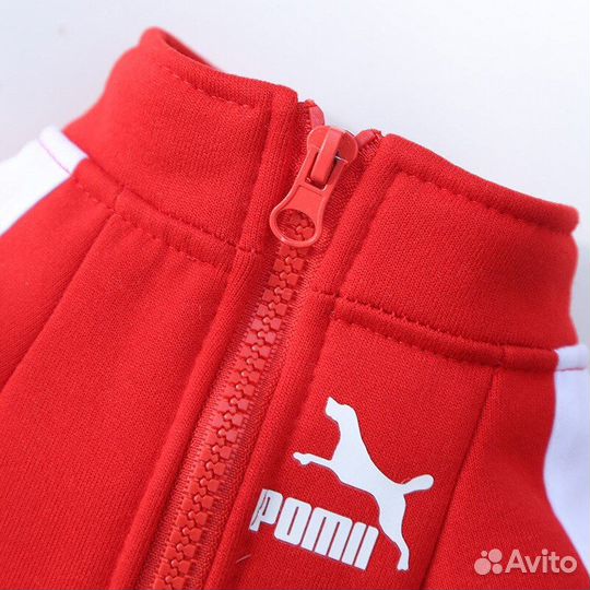 Толстовка для маленькой собачки