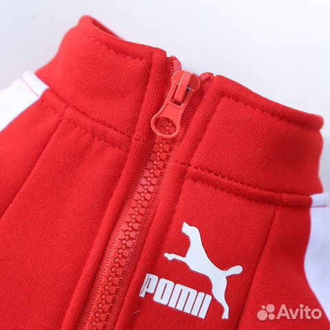 Толстовка для маленькой собачки