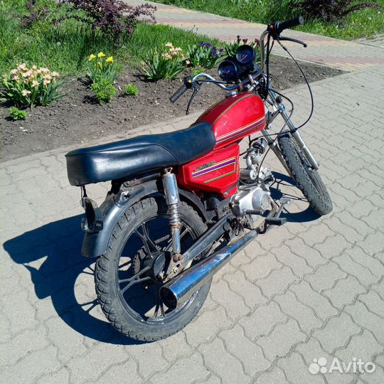 Alpha 110cc