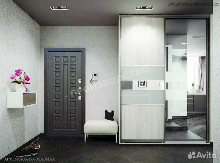 Двери с биометрией DV-5659