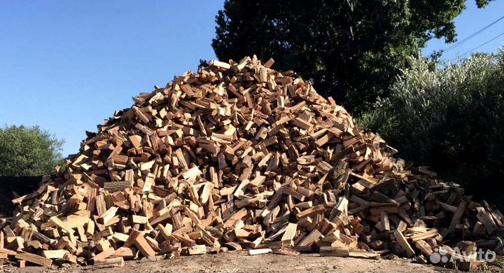 Дрова со Всеволожска