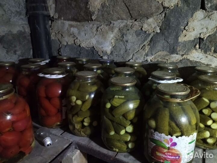 Огурцы соленые домашние