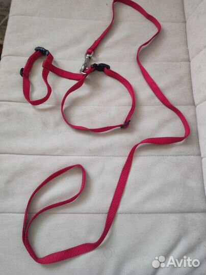 Поводок для кошек